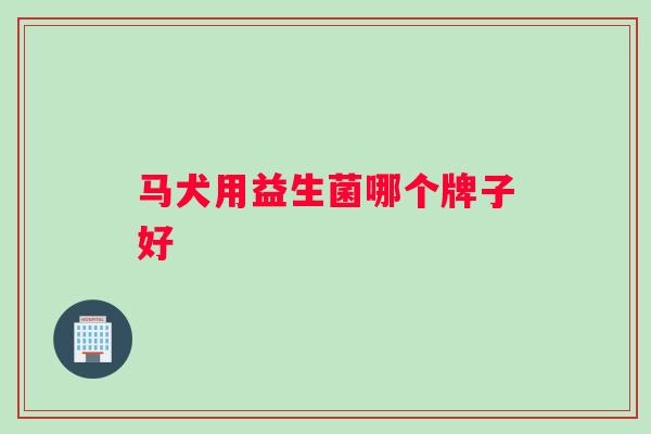 马犬用益生菌哪个牌子好