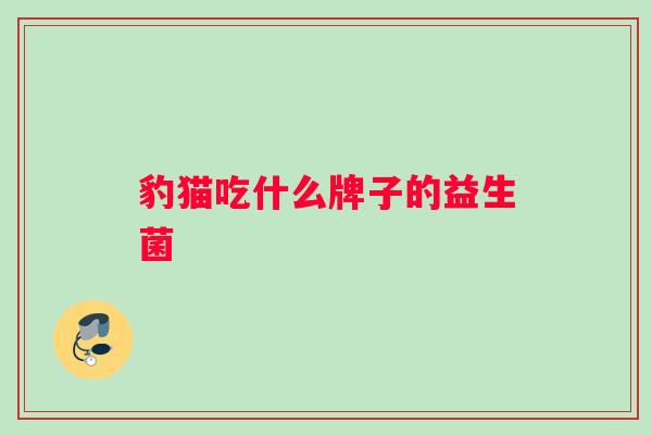 豹猫吃什么牌子的益生菌