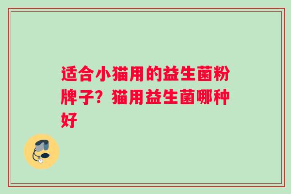 适合小猫用的益生菌粉牌子？猫用益生菌哪种好