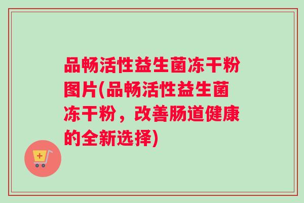 品畅活性益生菌冻干粉图片(品畅活性益生菌冻干粉，改善肠道健康的全新选择)