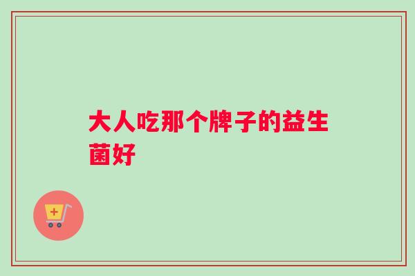 大人吃那个牌子的益生菌好