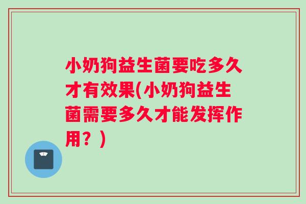 小奶狗益生菌要吃多久才有效果(小奶狗益生菌需要多久才能发挥作用？)