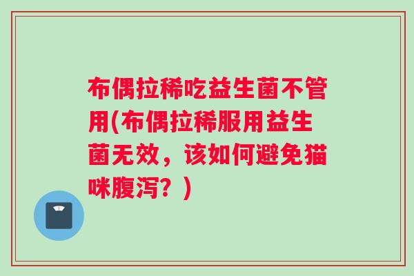 布偶拉稀吃益生菌不管用(布偶拉稀服用益生菌无效，该如何避免猫咪？)