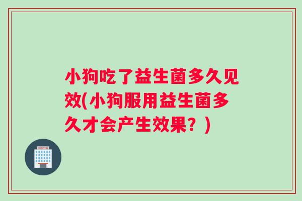 小狗吃了益生菌多久见效(小狗服用益生菌多久才会产生效果？)