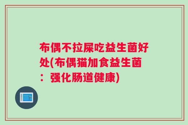 布偶不拉屎吃益生菌好处(布偶猫加食益生菌：强化肠道健康)