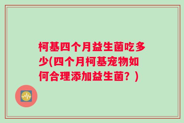 柯基四个月益生菌吃多少(四个月柯基宠物如何合理添加益生菌？)