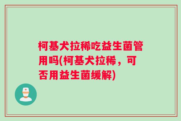 柯基犬拉稀吃益生菌管用吗(柯基犬拉稀，可否用益生菌缓解)