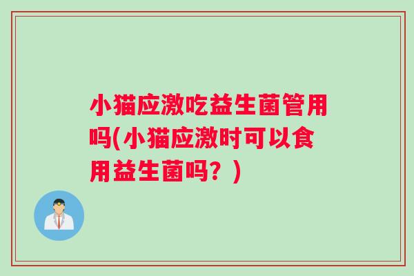 小猫应激吃益生菌管用吗(小猫应激时可以食用益生菌吗？)