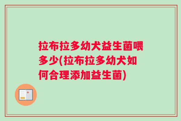 拉布拉多幼犬益生菌喂多少(拉布拉多幼犬如何合理添加益生菌)