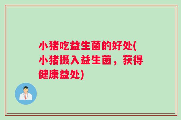小猪吃益生菌的好处(小猪摄入益生菌，获得健康益处)