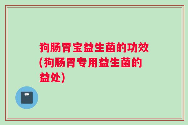 狗肠胃宝益生菌的功效(狗肠胃专用益生菌的益处)