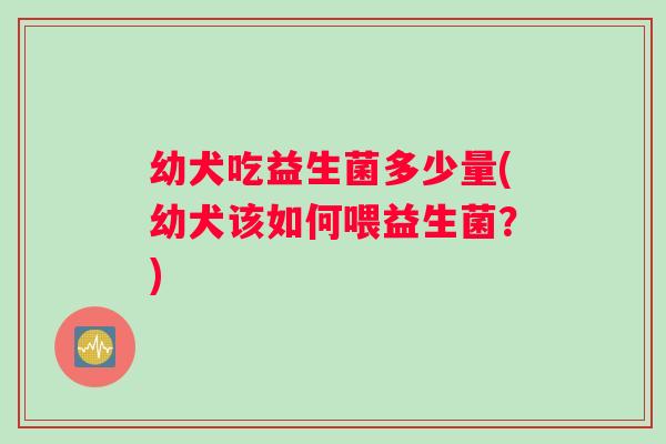 幼犬吃益生菌多少量(幼犬该如何喂益生菌？)