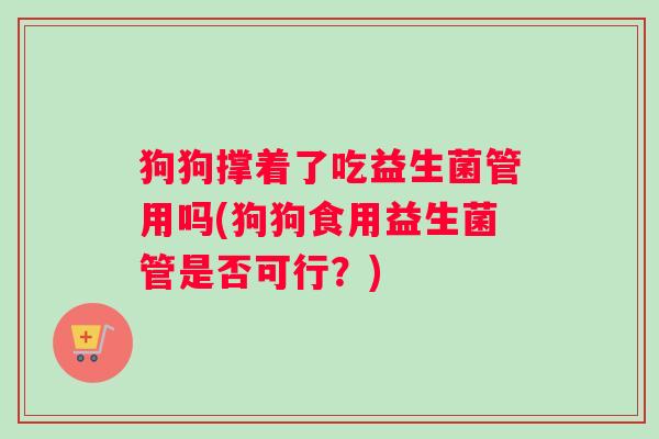 狗狗撑着了吃益生菌管用吗(狗狗食用益生菌管是否可行?) 狗狗撑着了吃益生菌管用吗(狗狗食用益生菌管是否可行?)