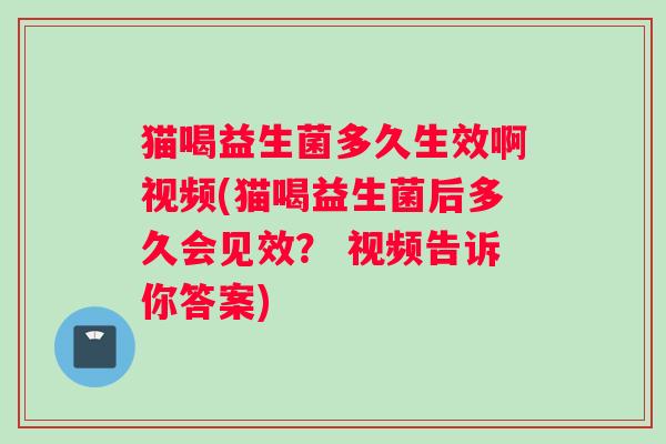 猫喝益生菌多久生效啊视频(猫喝益生菌后多久会见效？ 视频告诉你答案)