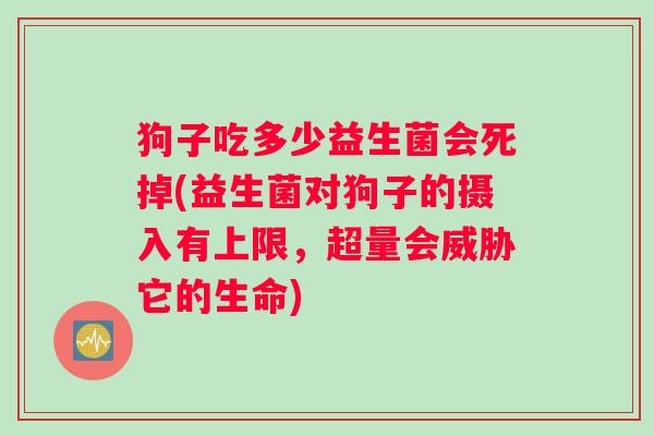 狗子吃多少益生菌会死掉(益生菌对狗子的摄入有上限，超量会威胁它的生命)