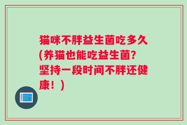 猫咪不胖益生菌吃多久(养猫也能吃益生菌？坚持一段时间不胖还健康！)