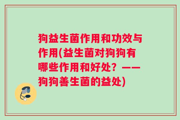 狗益生菌作用和功效与作用(益生菌对狗狗有哪些作用和好处？——狗狗善生菌的益处)