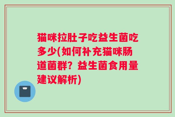 猫咪拉肚子吃益生菌吃多少(如何补充猫咪肠道菌群？益生菌食用量建议解析)