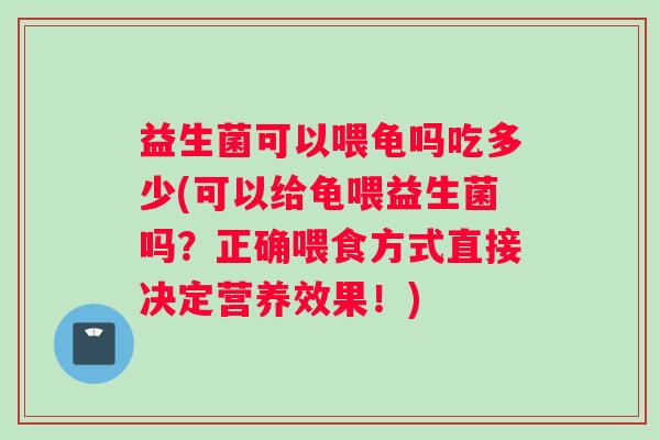 益生菌可以喂龟吗吃多少(可以给龟喂益生菌吗？正确喂食方式直接决定营养效果！)