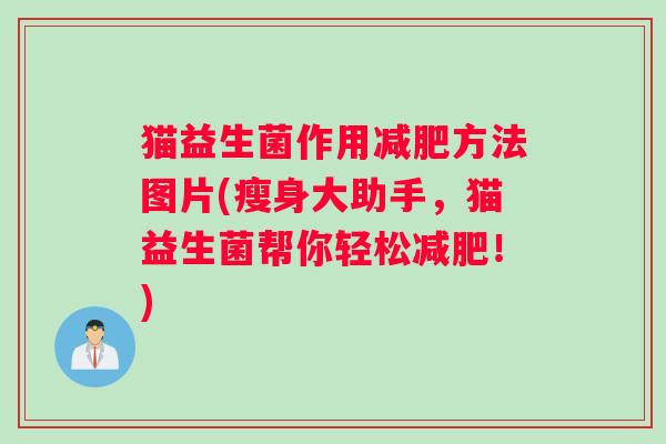 猫益生菌作用方法图片(瘦身大助手,猫益生菌帮你轻松!) 猫益生菌作用方法图片(瘦身大助手,猫益生菌帮你轻松!)
