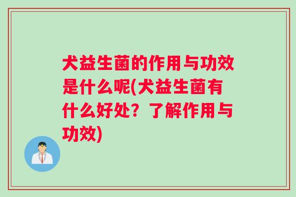 犬益生菌的作用与功效是什么呢(犬益生菌有什么好处？了解作用与功效)