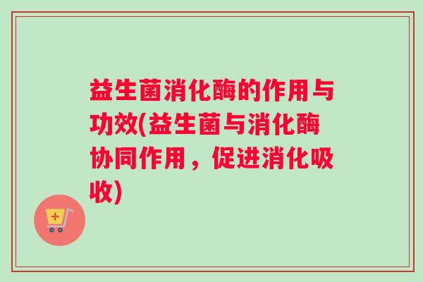 益生菌消化酶的作用与功效(益生菌与消化酶协同作用，促进消化吸收)