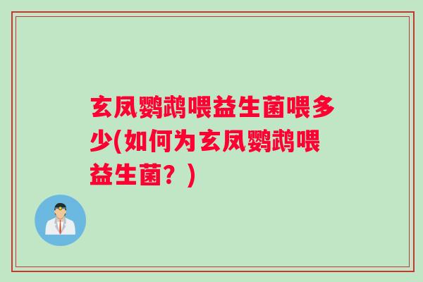 玄凤鹦鹉喂益生菌喂多少(如何为玄凤鹦鹉喂益生菌？)