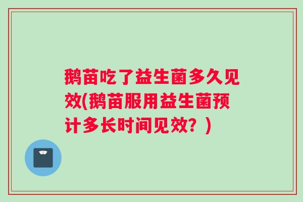 鹅苗吃了益生菌多久见效(鹅苗服用益生菌预计多长时间见效？)