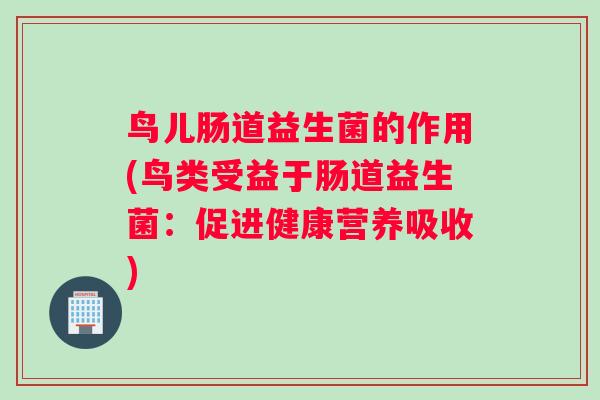 鸟儿肠道益生菌的作用(鸟类受益于肠道益生菌：促进健康营养吸收)