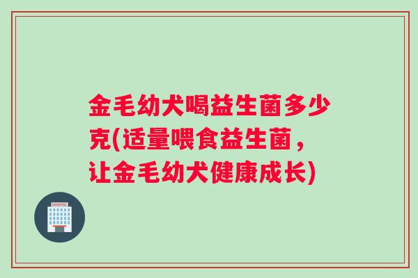 金毛幼犬喝益生菌多少克(适量喂食益生菌，让金毛幼犬健康成长)
