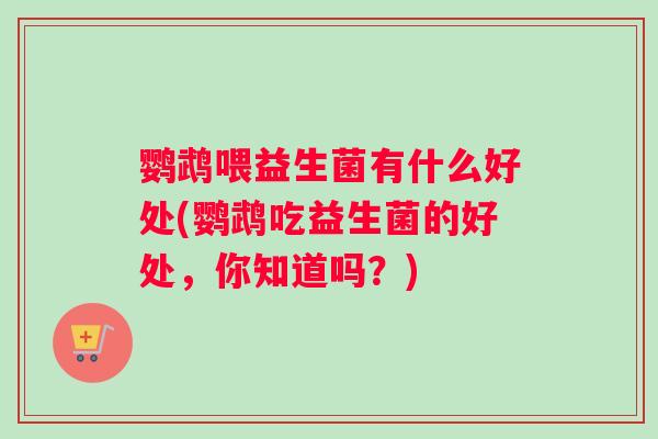 鹦鹉喂益生菌有什么好处(鹦鹉吃益生菌的好处，你知道吗？)