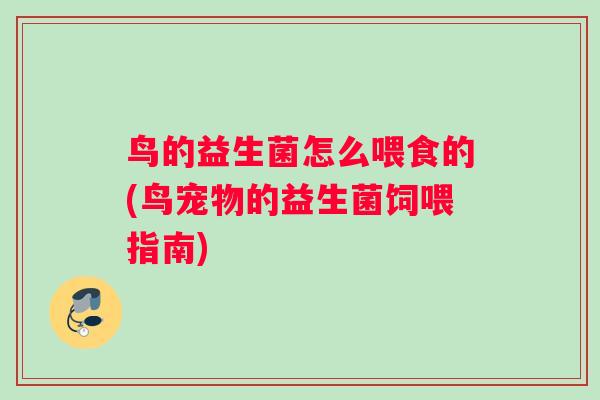 鸟的益生菌怎么喂食的(鸟宠物的益生菌饲喂指南)