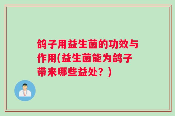 鸽子用益生菌的功效与作用(益生菌能为鸽子带来哪些益处？)