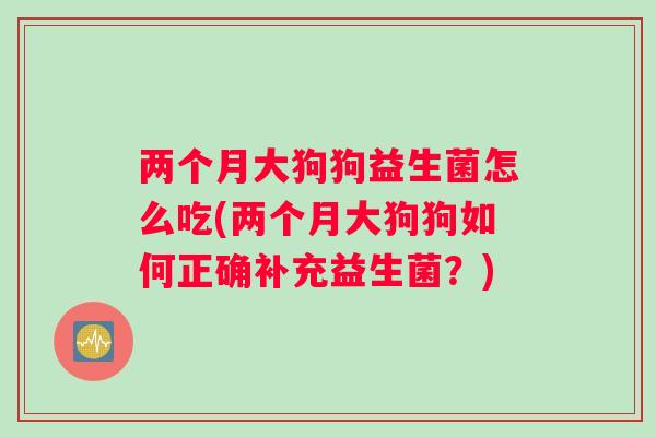 两个月大狗狗益生菌怎么吃(两个月大狗狗如何正确补充益生菌？)