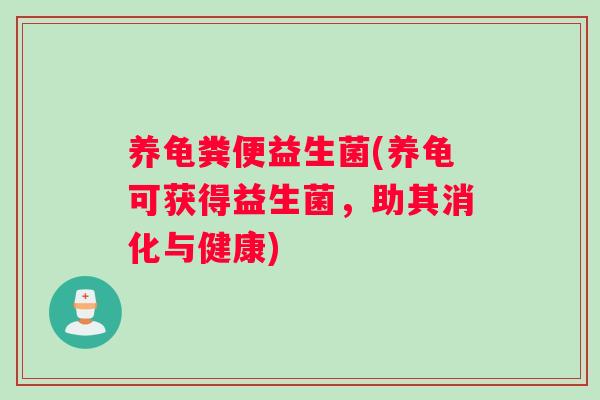 养龟粪便益生菌(养龟可获得益生菌，助其消化与健康)