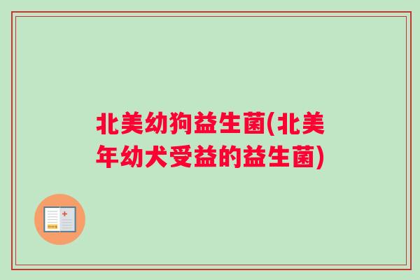 北美幼狗益生菌(北美年幼犬受益的益生菌)