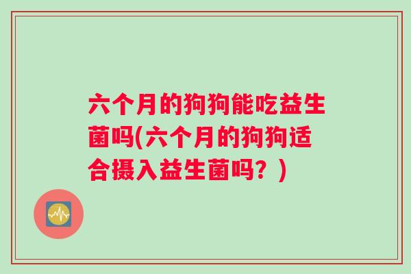 六个月的狗狗能吃益生菌吗(六个月的狗狗适合摄入益生菌吗？)