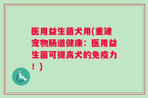 医用益生菌犬用(重建宠物肠道健康：医用益生菌可提高犬的免疫力！)