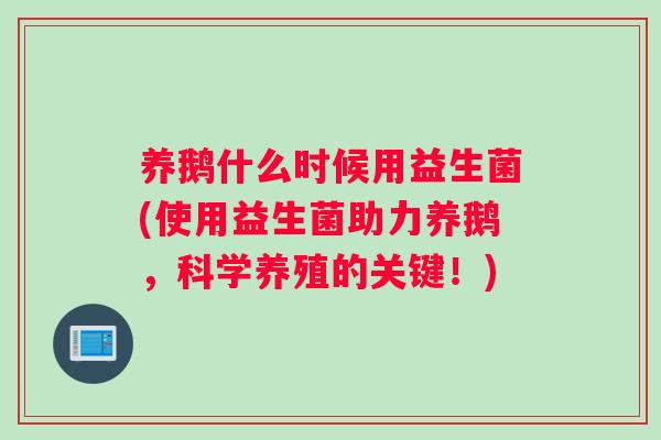 养鹅什么时候用益生菌(使用益生菌助力养鹅，科学养殖的关键！)