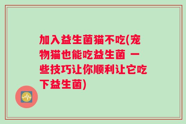 加入益生菌猫不吃(宠物猫也能吃益生菌 一些技巧让你顺利让它吃下益生菌)