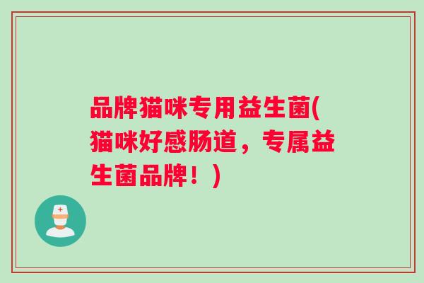 品牌猫咪专用益生菌(猫咪好感肠道，专属益生菌品牌！)