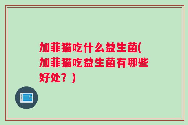 加菲猫吃什么益生菌(加菲猫吃益生菌有哪些好处？)