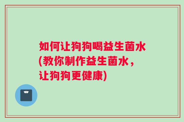如何让狗狗喝益生菌水(教你制作益生菌水，让狗狗更健康)