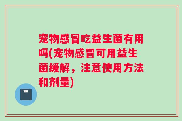 宠物吃益生菌有用吗(宠物可用益生菌缓解,注意使用方法和剂量) 宠物吃益生菌有用吗(宠物可用益生菌缓解,注意使用方法和剂量)
