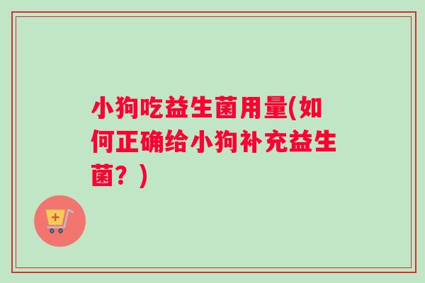 小狗吃益生菌用量(如何正确给小狗补充益生菌？)