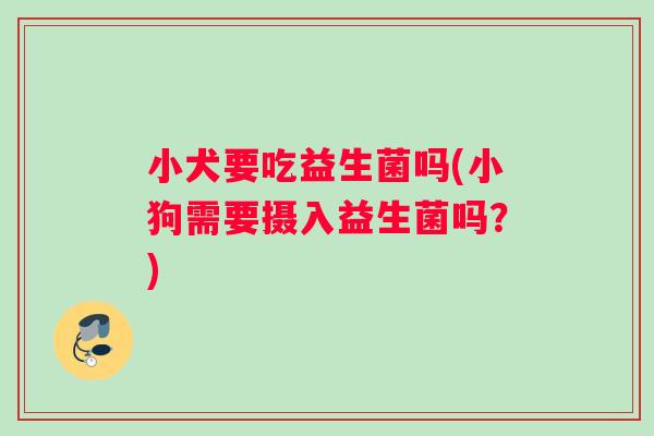 小犬要吃益生菌吗(小狗需要摄入益生菌吗？)