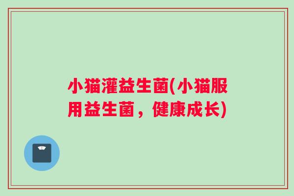 小猫灌益生菌(小猫服用益生菌，健康成长)