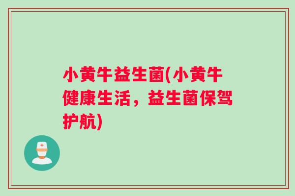 小黄牛益生菌(小黄牛健康生活，益生菌保驾护航)