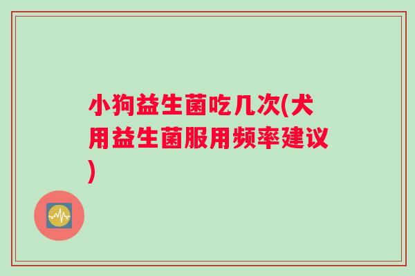 小狗益生菌吃几次(犬用益生菌服用频率建议)