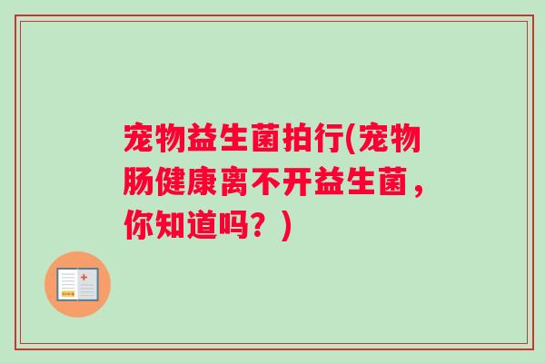 宠物益生菌拍行(宠物肠健康离不开益生菌,你知道吗?) 宠物益生菌拍行(宠物肠健康离不开益生菌,你知道吗?)